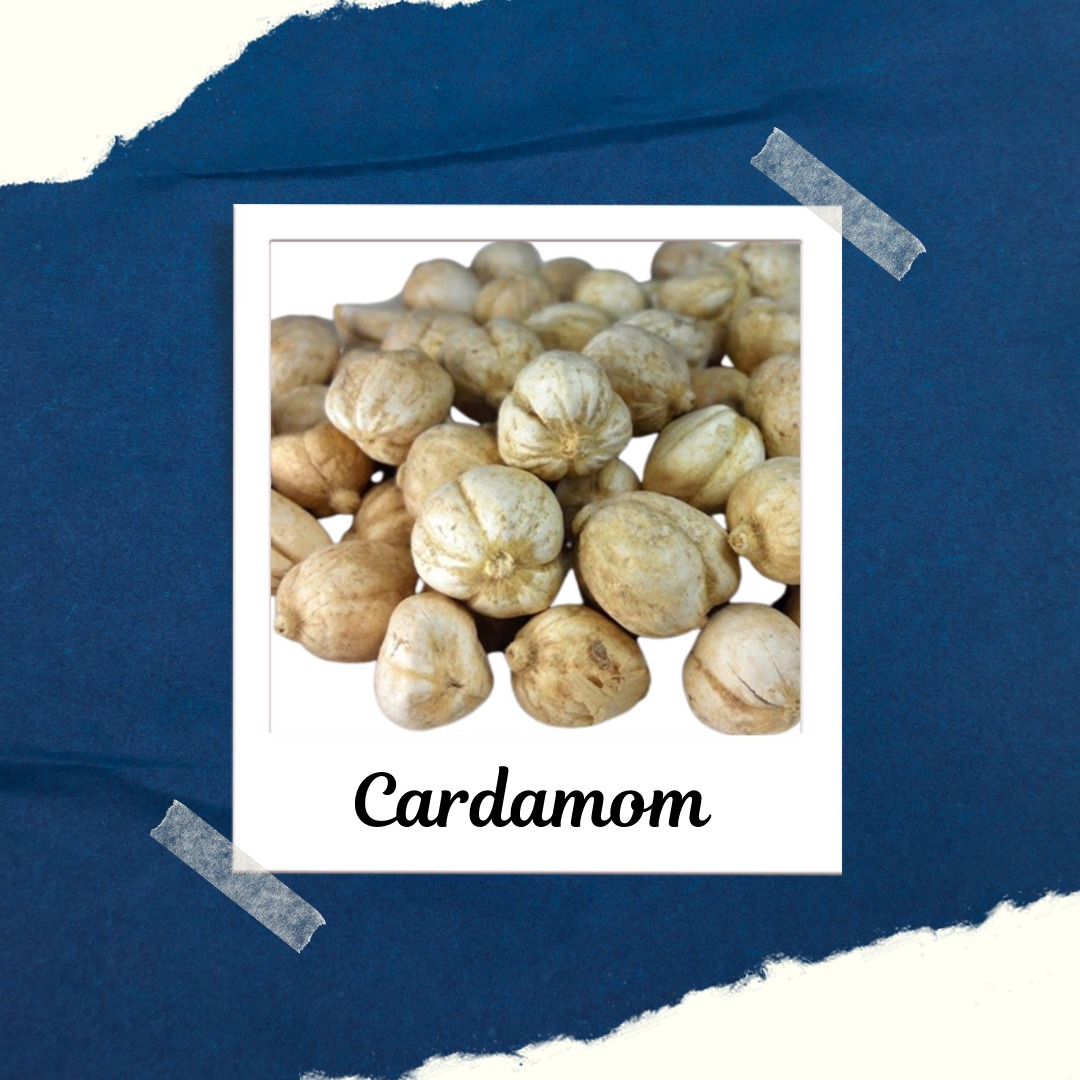 White Cardamom